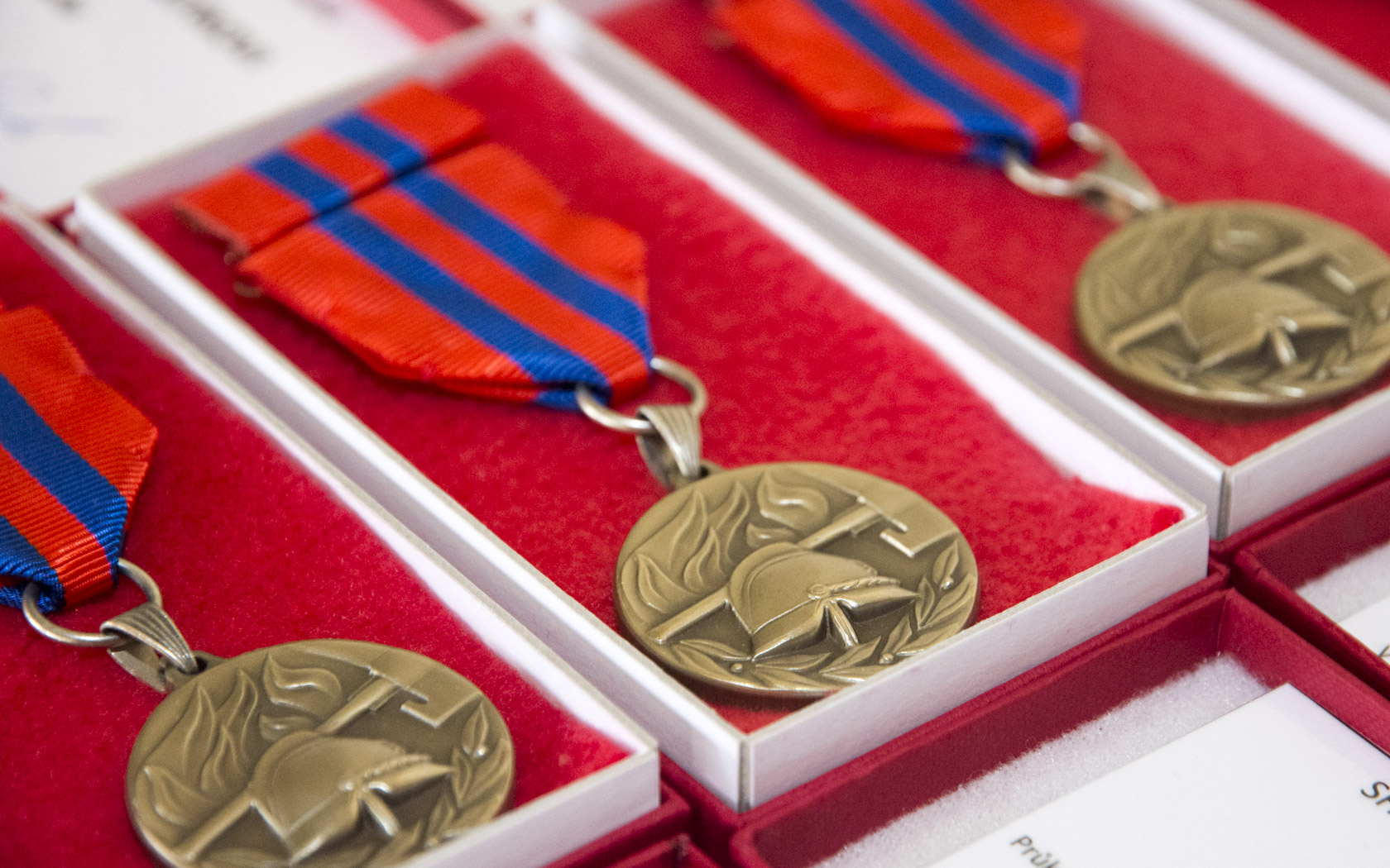 Seznam oceněných bratrů a sester