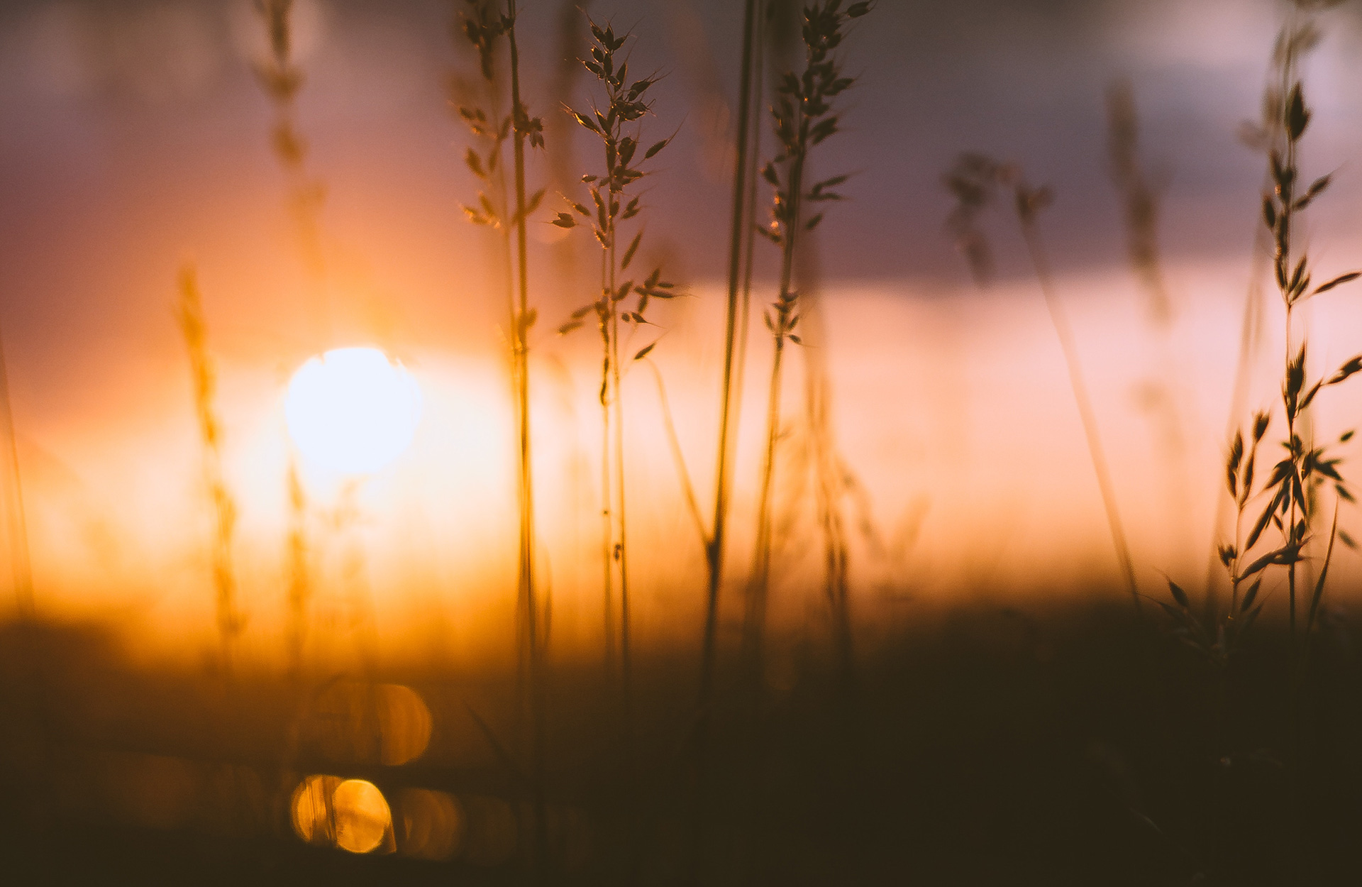 Z činnosti MH – SDH ’17